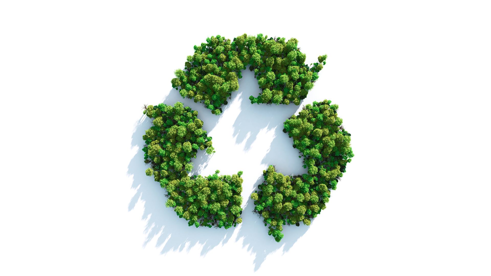 5 Ways to Avoid Greenwashing in Marketing
