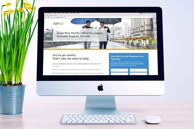 Net new lead nurturing campaign for SAP