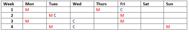 Pencilled Schedule.png