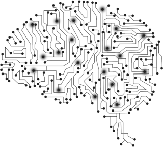 brain-1